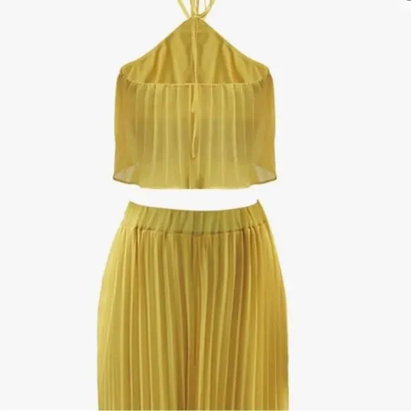 Two Piece Set Pleated Maxi Skirt and Crop Top - Picture 5 of 8